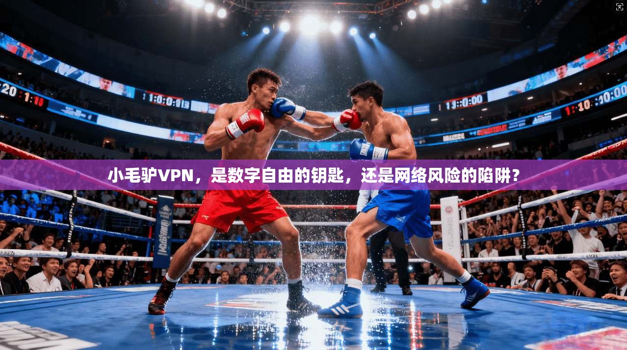 小毛驴VPN，是数字自由的钥匙，还是网络风险的陷阱？