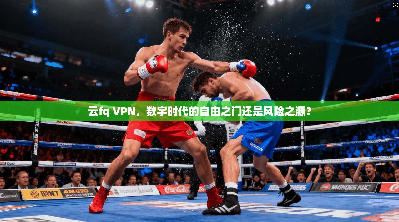 云fq VPN,数字时代的自由之门还是风险之源?