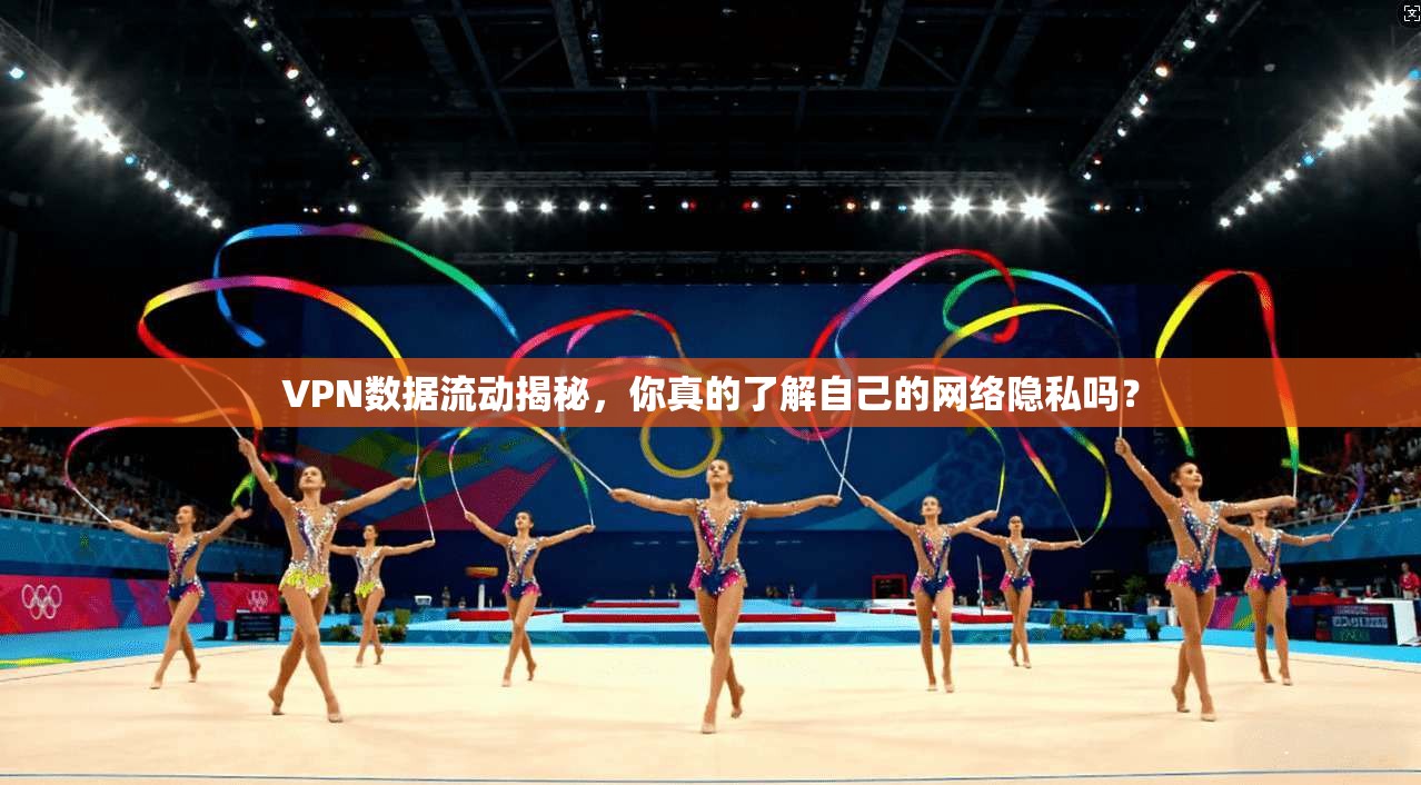 VPN数据流动揭秘，你真的了解自己的网络隐私吗？