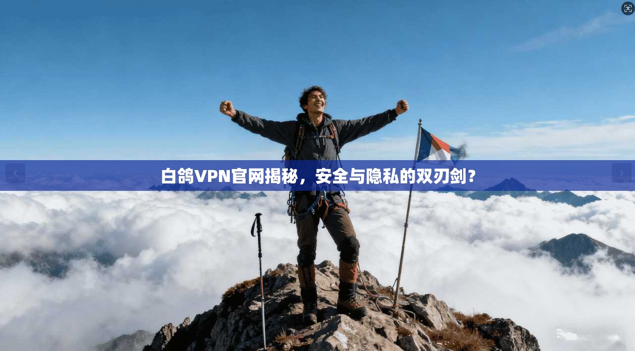 白鸽VPN官网揭秘，安全与隐私的双刃剑？
