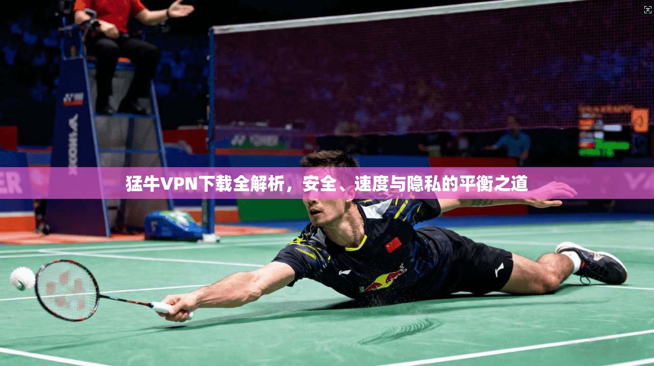 猛牛VPN下载全解析，安全、速度与隐私的平衡之道