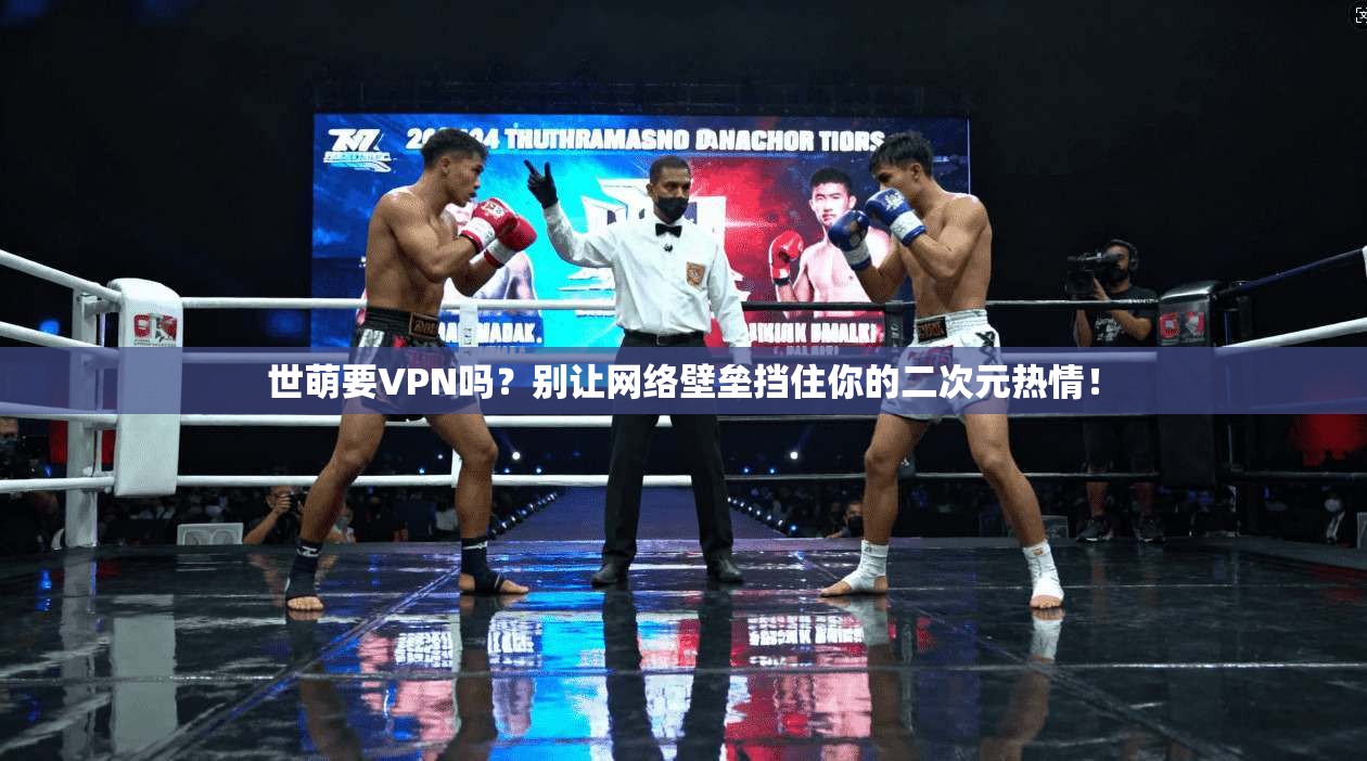 世萌要VPN吗？别让网络壁垒挡住你的二次元热情！