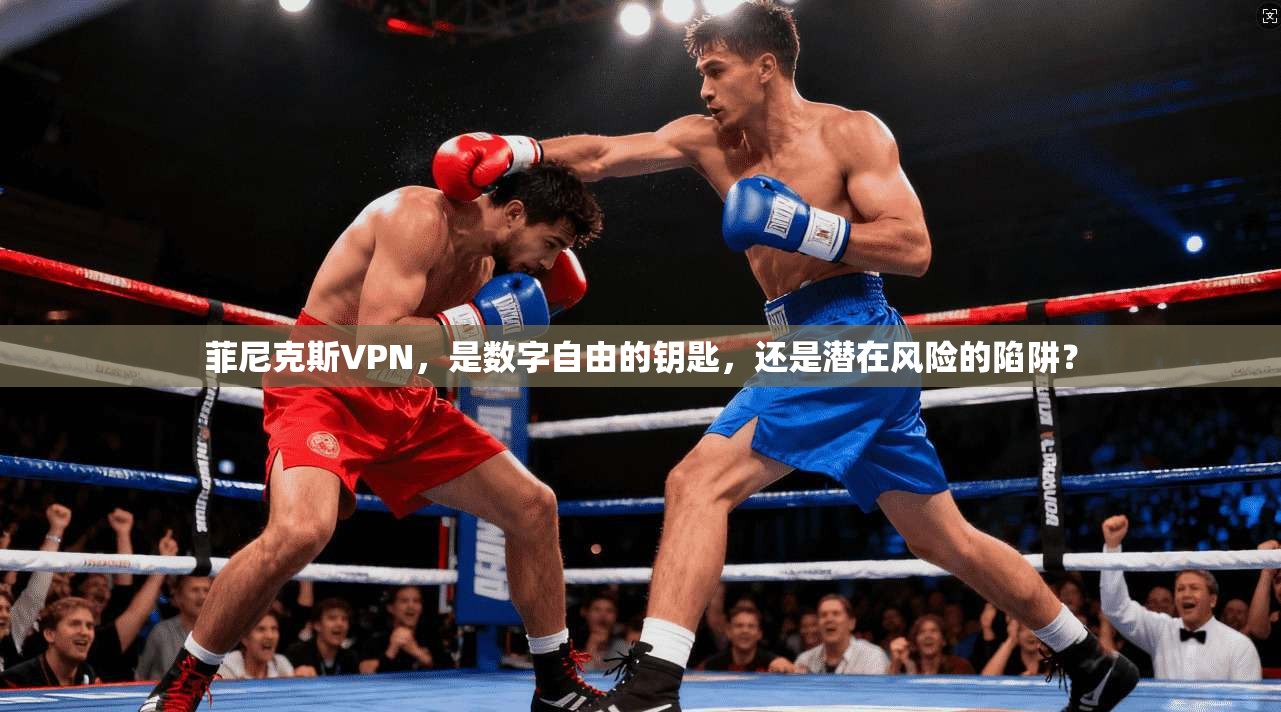 菲尼克斯VPN，是数字自由的钥匙，还是潜在风险的陷阱？