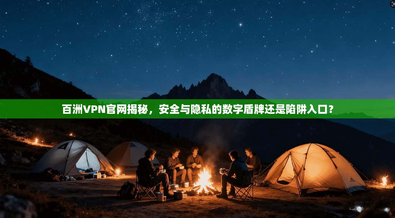 百洲VPN官网揭秘，安全与隐私的数字盾牌还是陷阱入口？