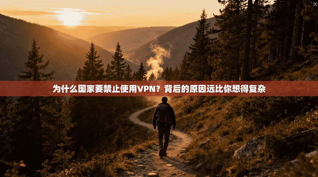 为什么国家要禁止使用VPN？背后的原因远比你想得复杂