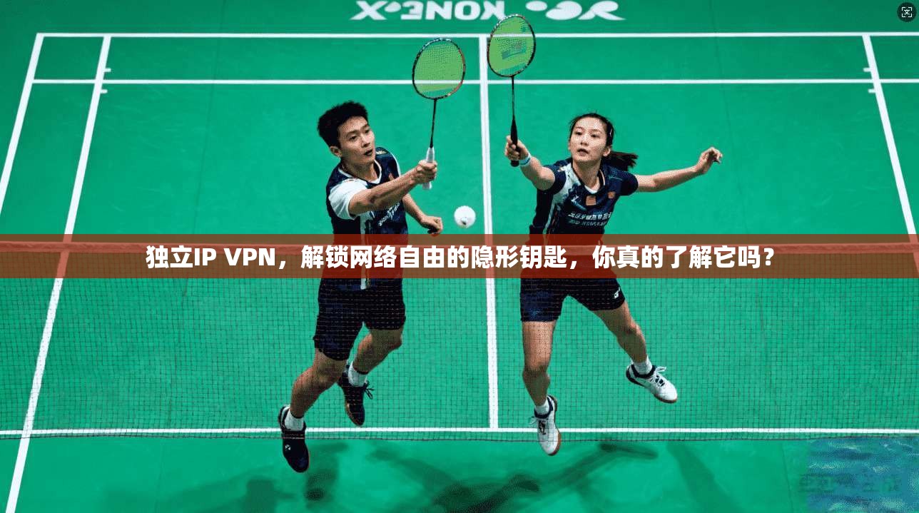 独立IP VPN，解锁网络自由的隐形钥匙，你真的了解它吗？