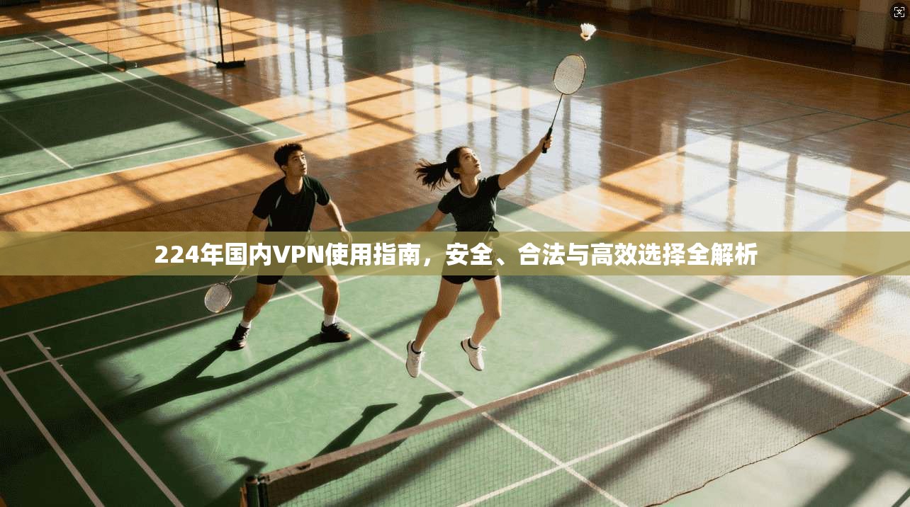 224年国内VPN使用指南，安全、合法与高效选择全解析