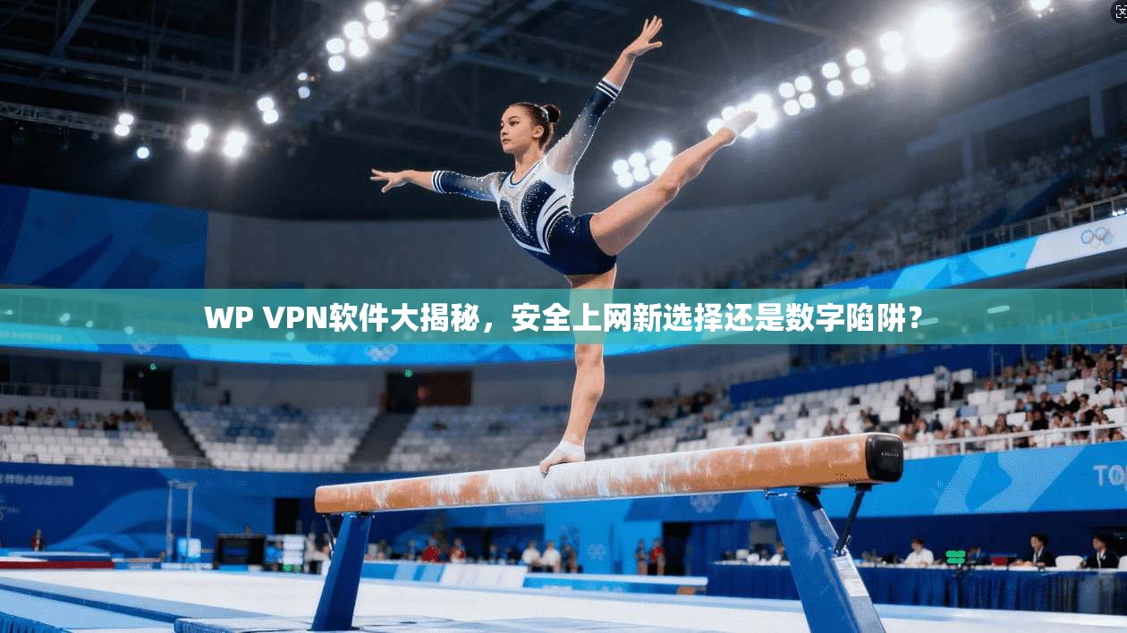 WP VPN软件大揭秘，安全上网新选择还是数字陷阱？