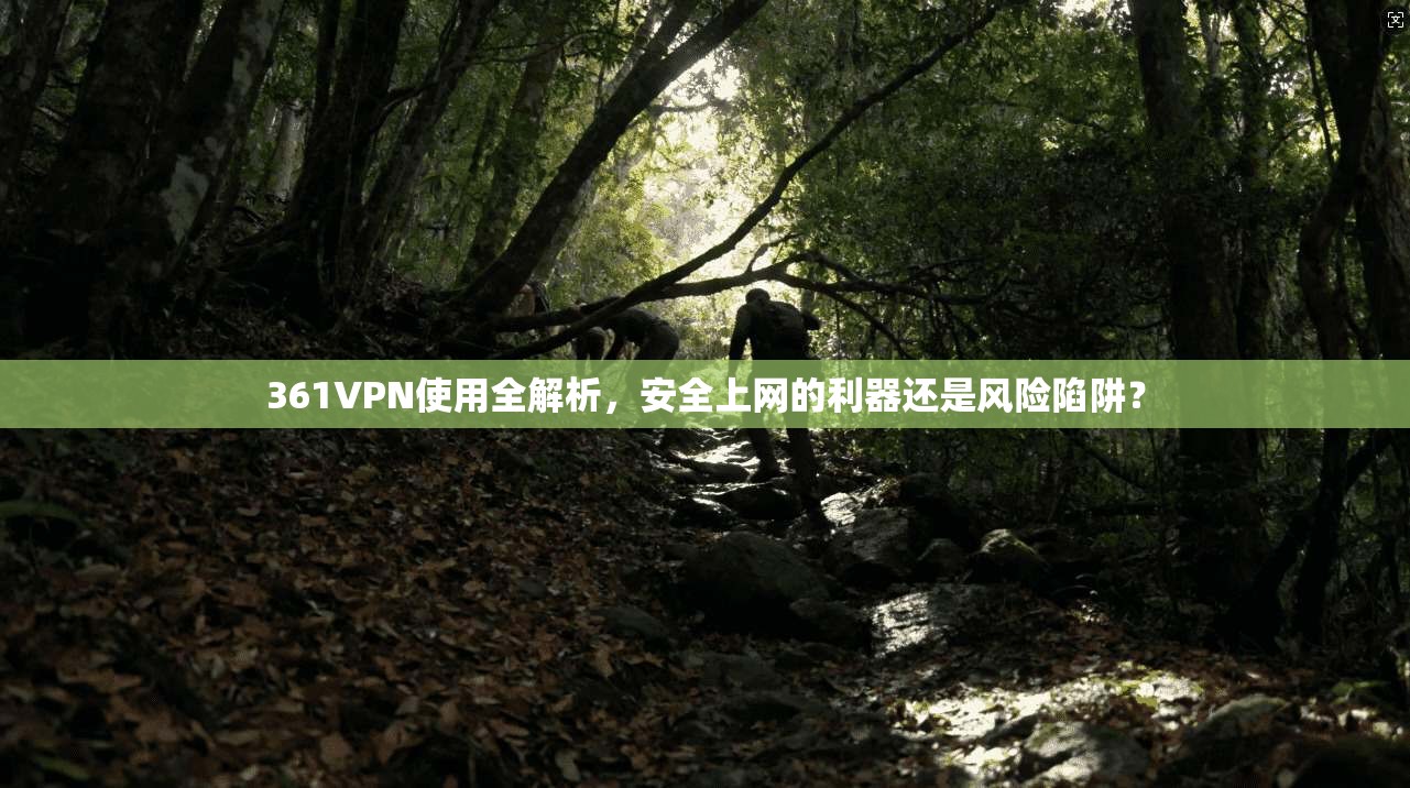 361VPN使用全解析，安全上网的利器还是风险陷阱？