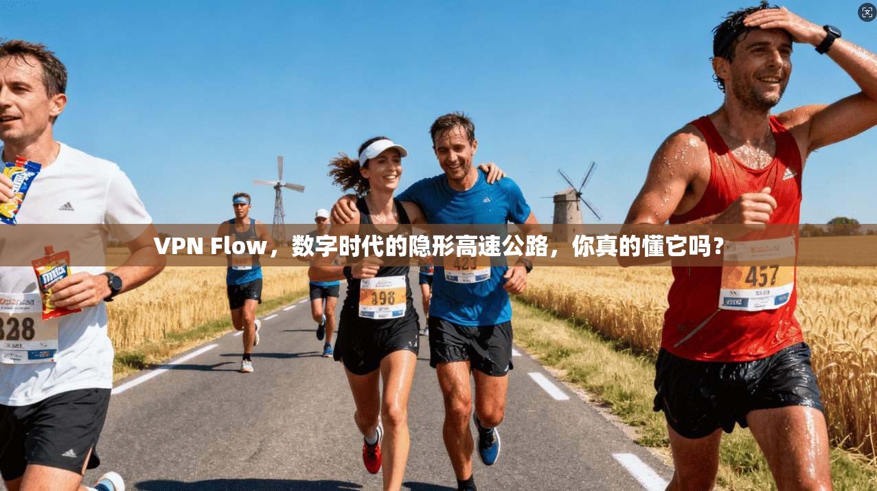 VPN Flow，数字时代的隐形高速公路，你真的懂它吗？