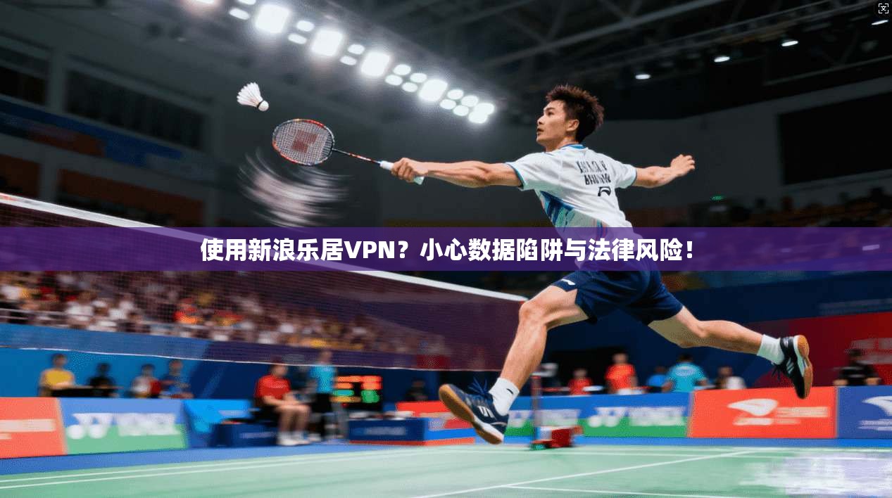 使用新浪乐居VPN？小心数据陷阱与法律风险！