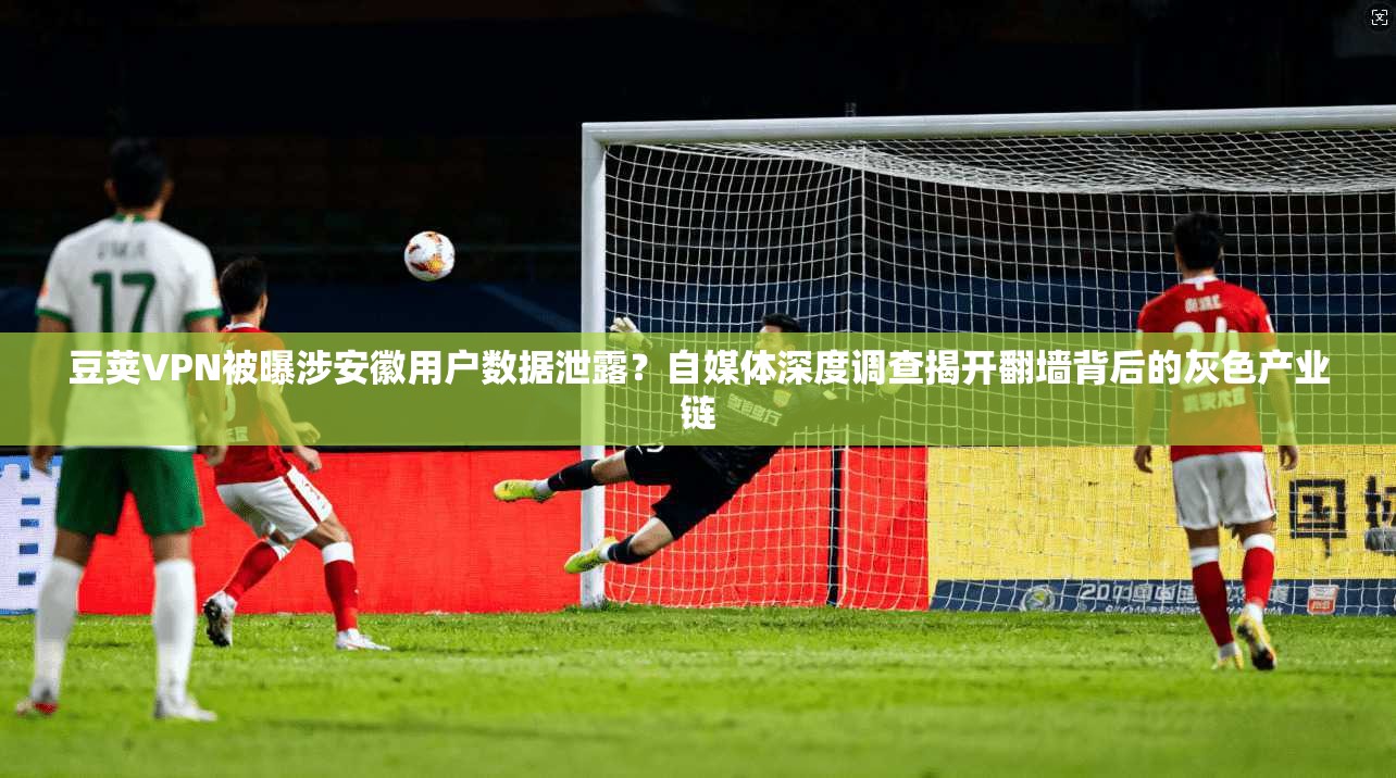 豆荚VPN被曝涉安徽用户数据泄露?自媒体深度调查揭开翻墙背后的灰色产业链
