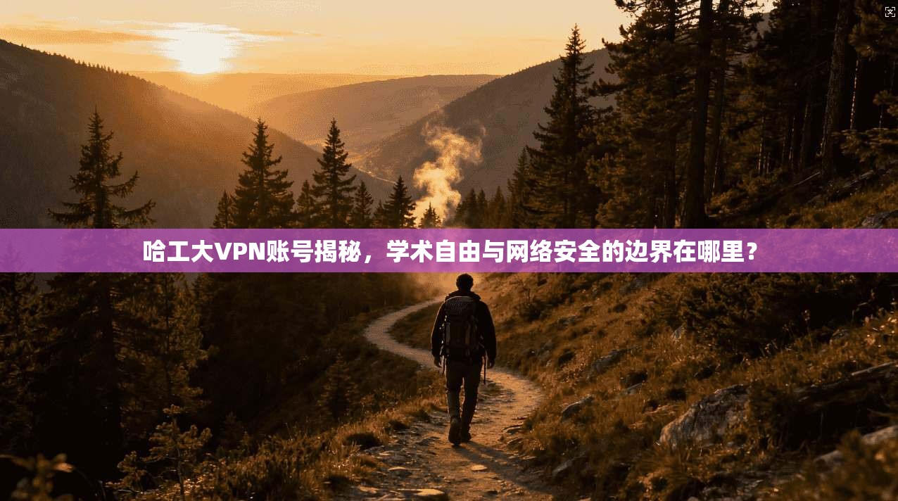 哈工大VPN账号揭秘,学术自由与网络安全的边界在哪里?
