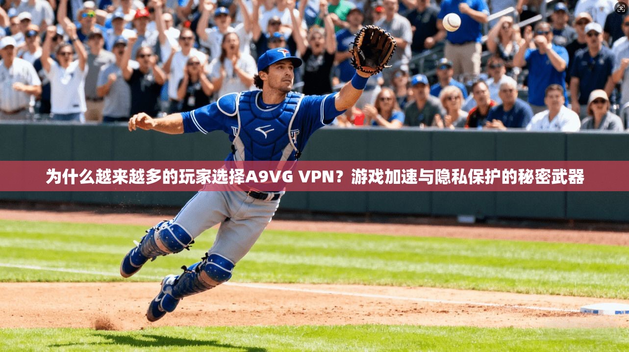 为什么越来越多的玩家选择A9VG VPN?游戏加速与隐私保护的秘密武器