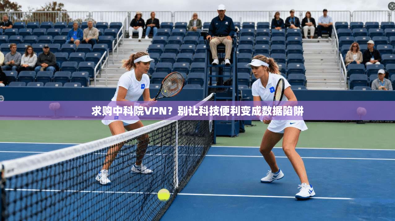 求购中科院VPN？别让科技便利变成数据陷阱