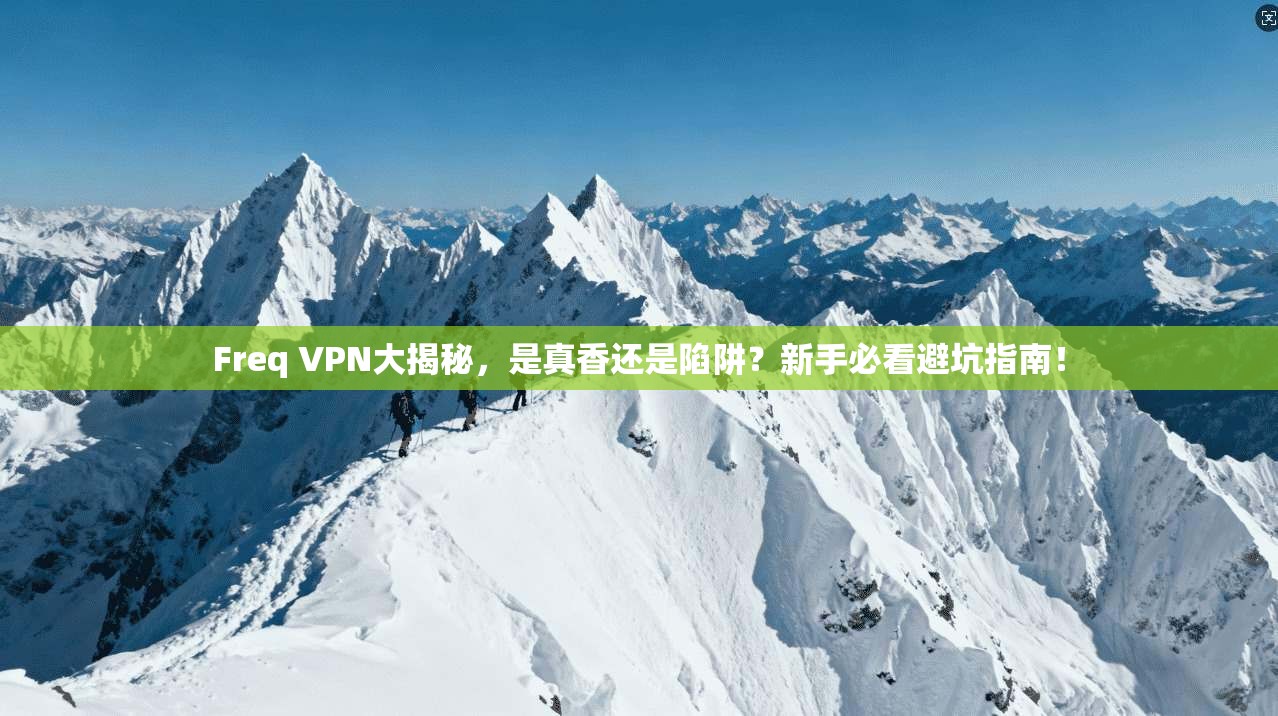 Freq VPN大揭秘，是真香还是陷阱？新手必看避坑指南！