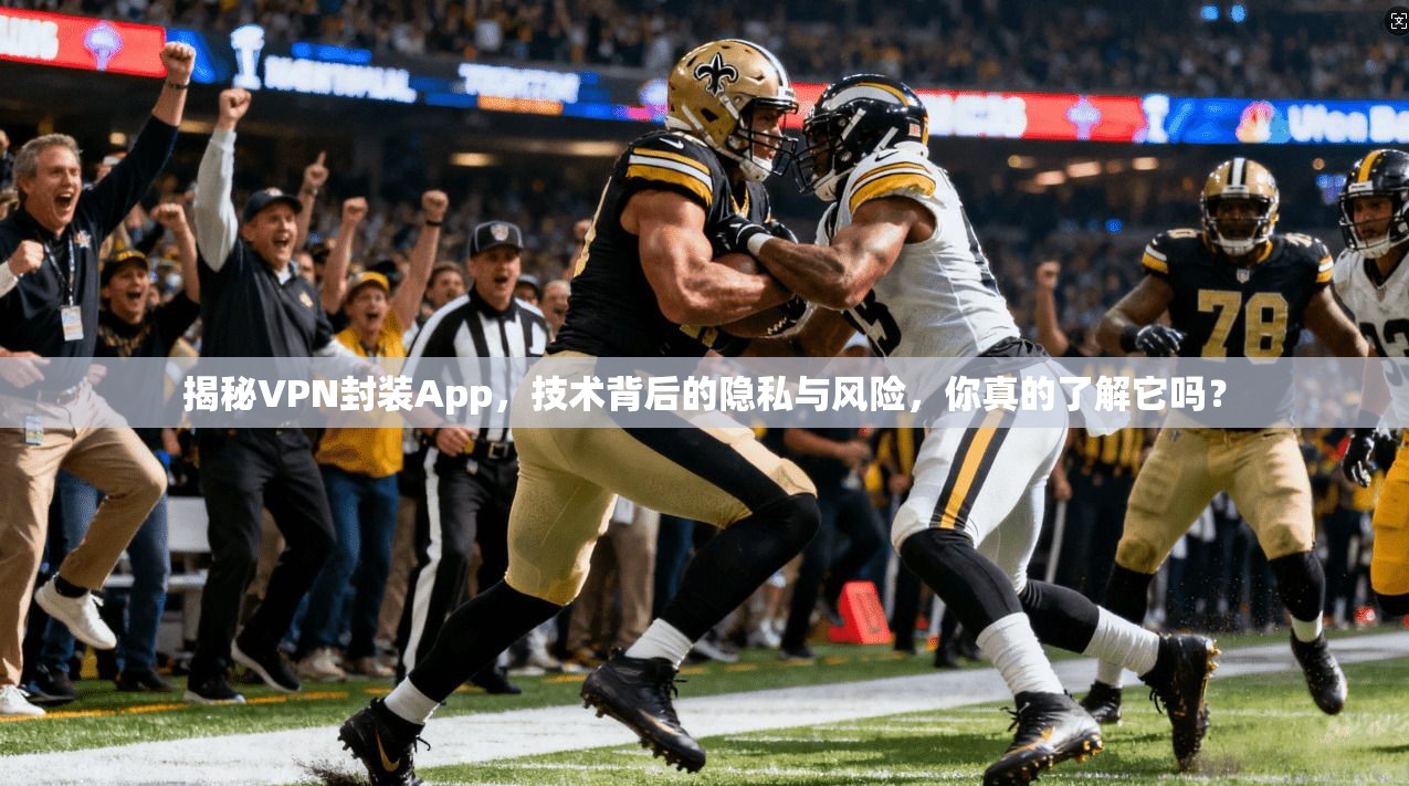 揭秘VPN封装App,技术背后的隐私与风险,你真的了解它吗?
