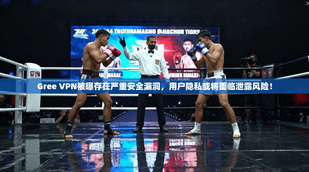 Gree VPN被曝存在严重安全漏洞，用户隐私或将面临泄露风险！