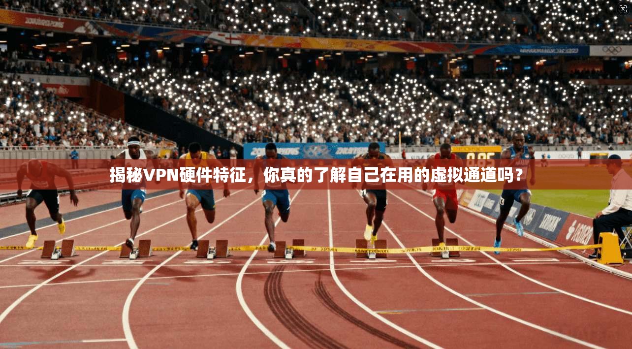 揭秘VPN硬件特征,你真的了解自己在用的虚拟通道吗?