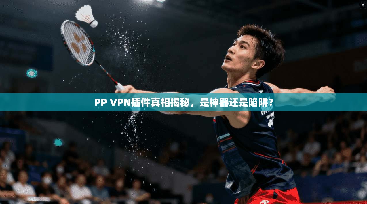 PP VPN插件真相揭秘,是神器还是陷阱?