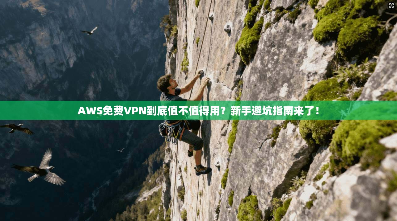 AWS免费VPN到底值不值得用？新手避坑指南来了！