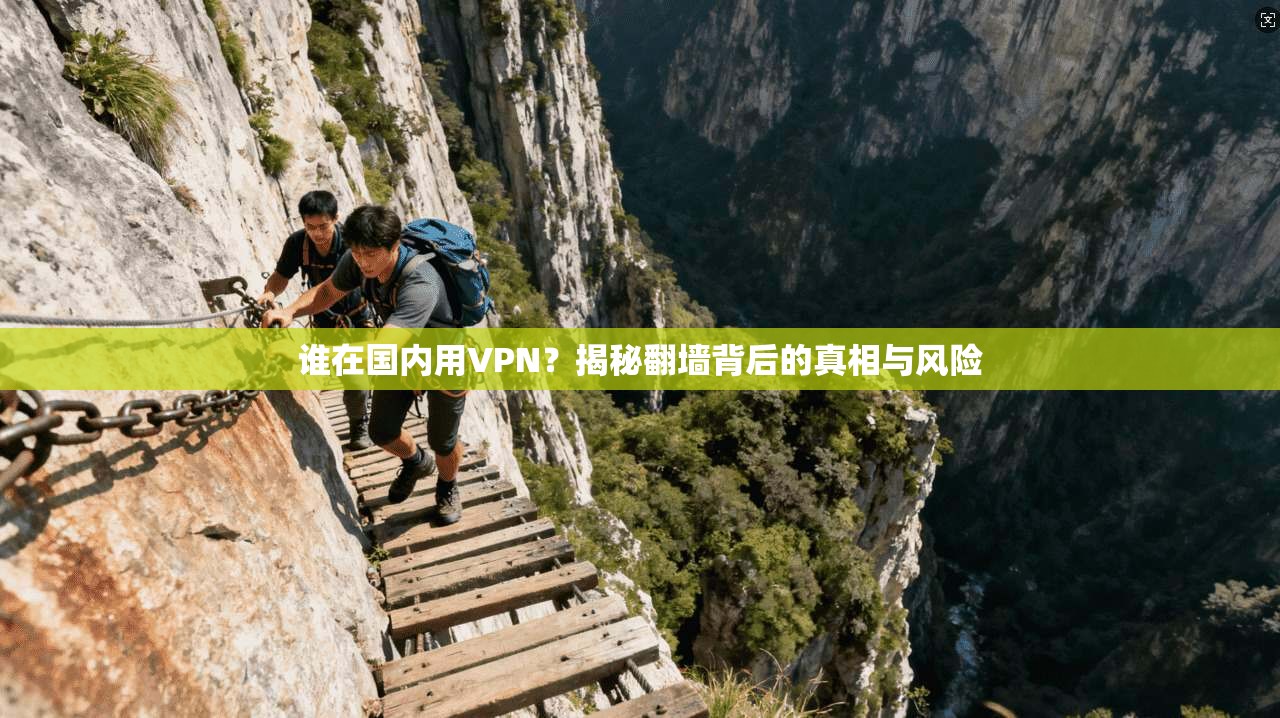 谁在国内用VPN?揭秘翻墙背后的真相与风险