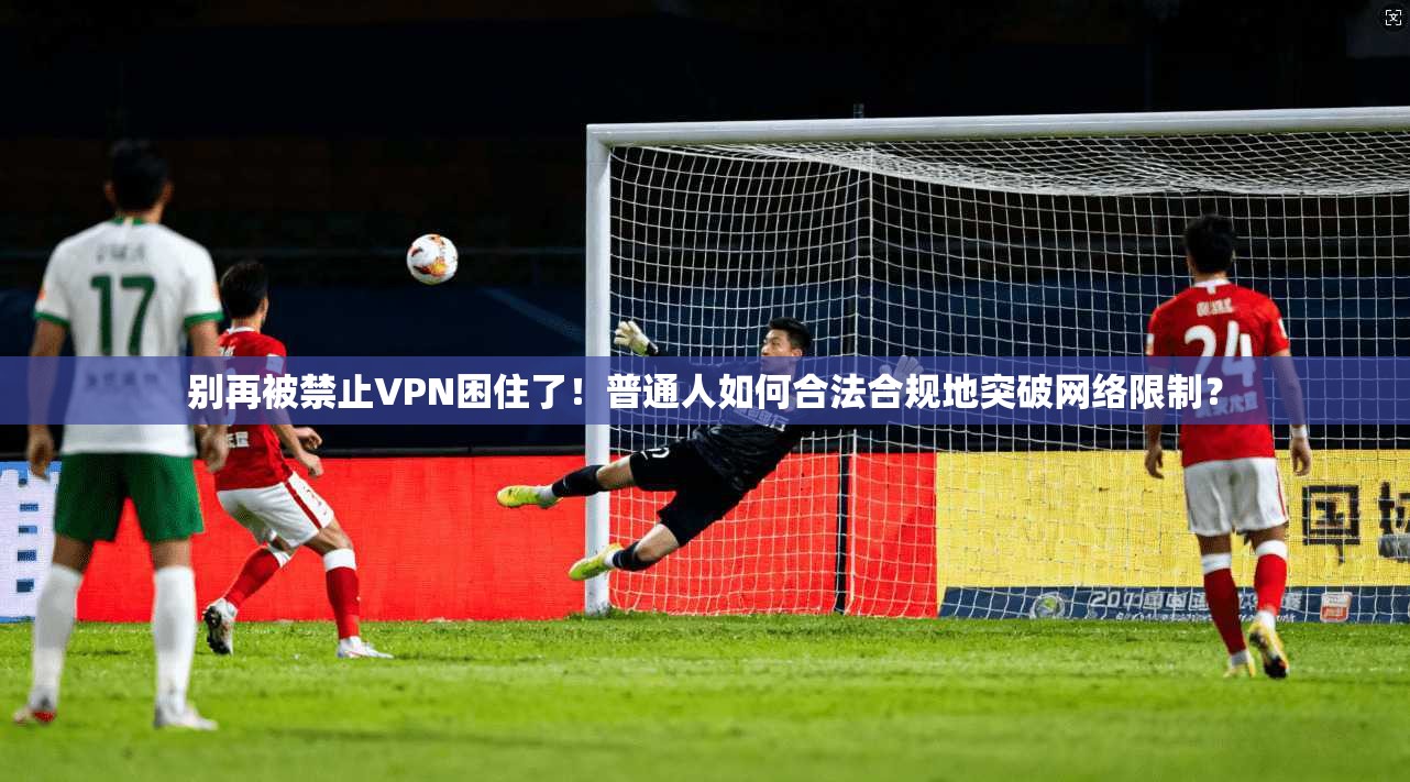 别再被禁止VPN困住了!普通人如何合法合规地突破网络限制?