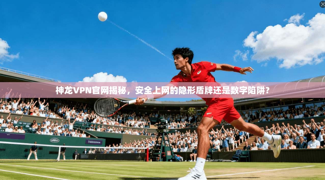 神龙VPN官网揭秘,安全上网的隐形盾牌还是数字陷阱?