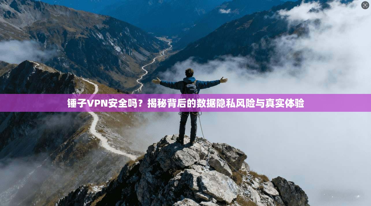 锤子VPN安全吗?揭秘背后的数据隐私风险与真实体验