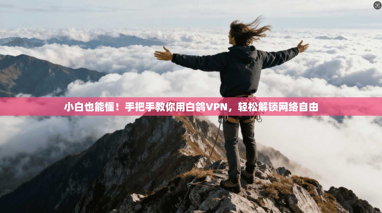 小白也能懂！手把手教你用白鸽VPN，轻松解锁网络自由