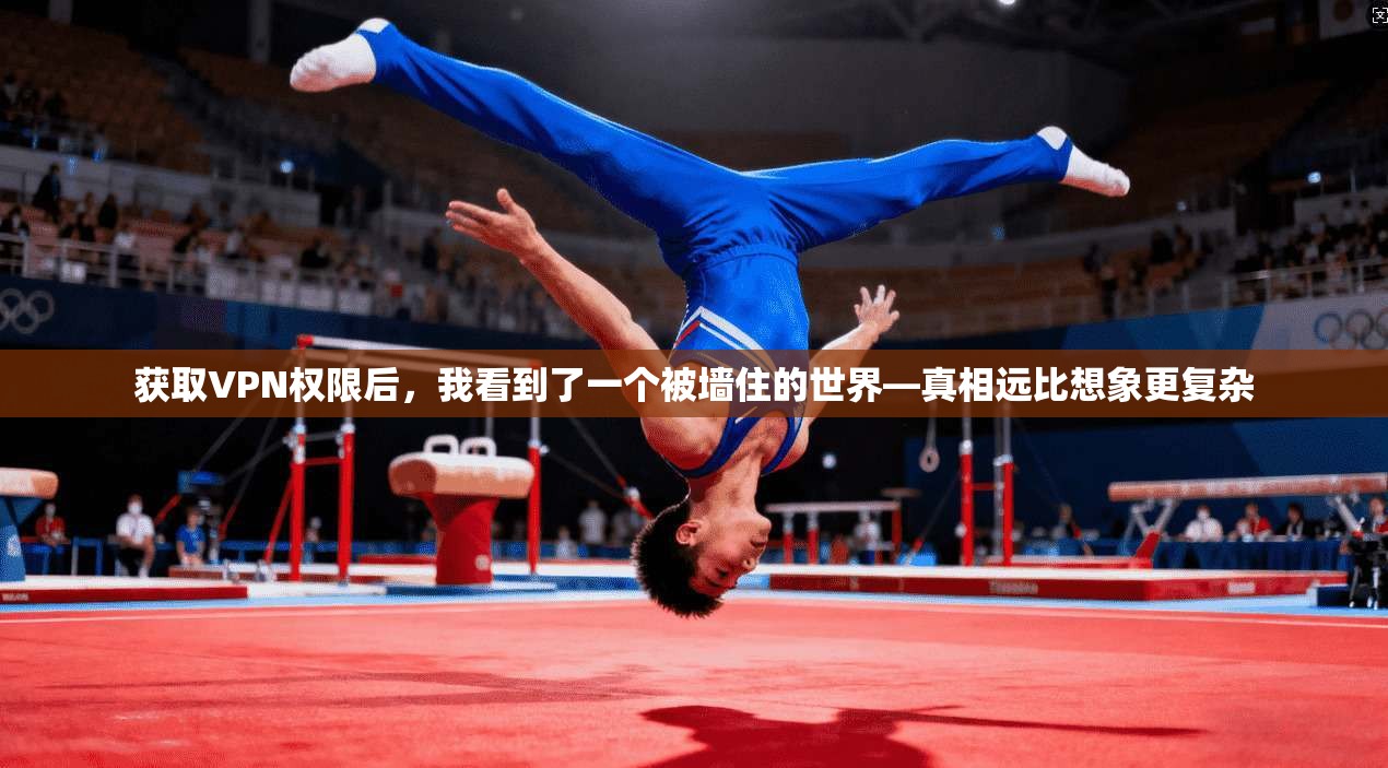 获取VPN权限后,我看到了一个被墙住的世界—真相远比想象更复杂