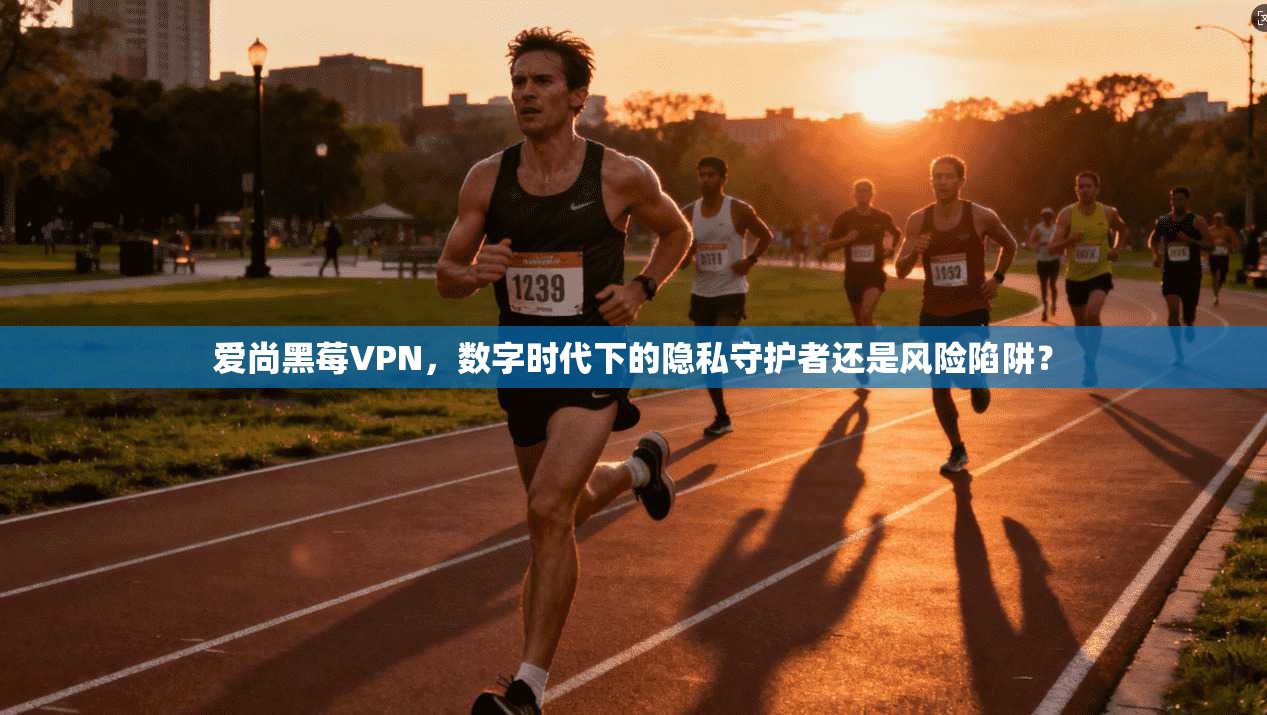 爱尚黑莓VPN，数字时代下的隐私守护者还是风险陷阱？