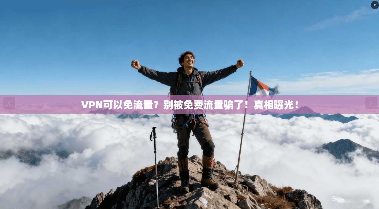 VPN可以免流量？别被免费流量骗了！真相曝光！