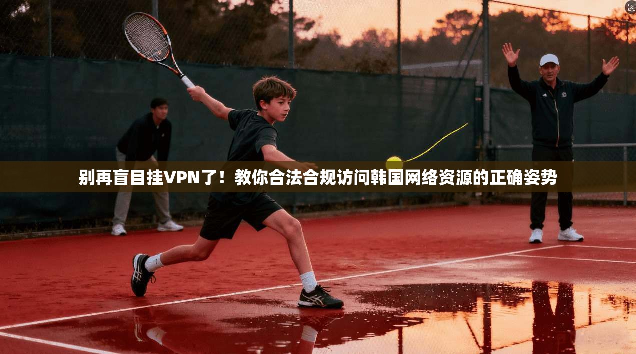 别再盲目挂VPN了！教你合法合规访问韩国网络资源的正确姿势