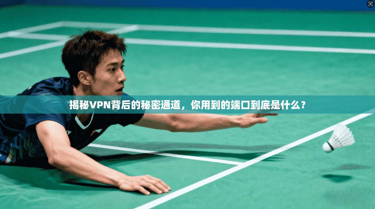 揭秘VPN背后的秘密通道，你用到的端口到底是什么？