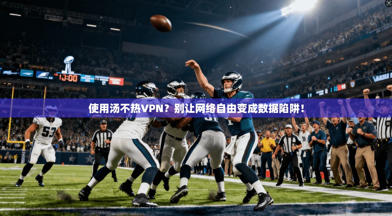 使用汤不热VPN?别让网络自由变成数据陷阱!