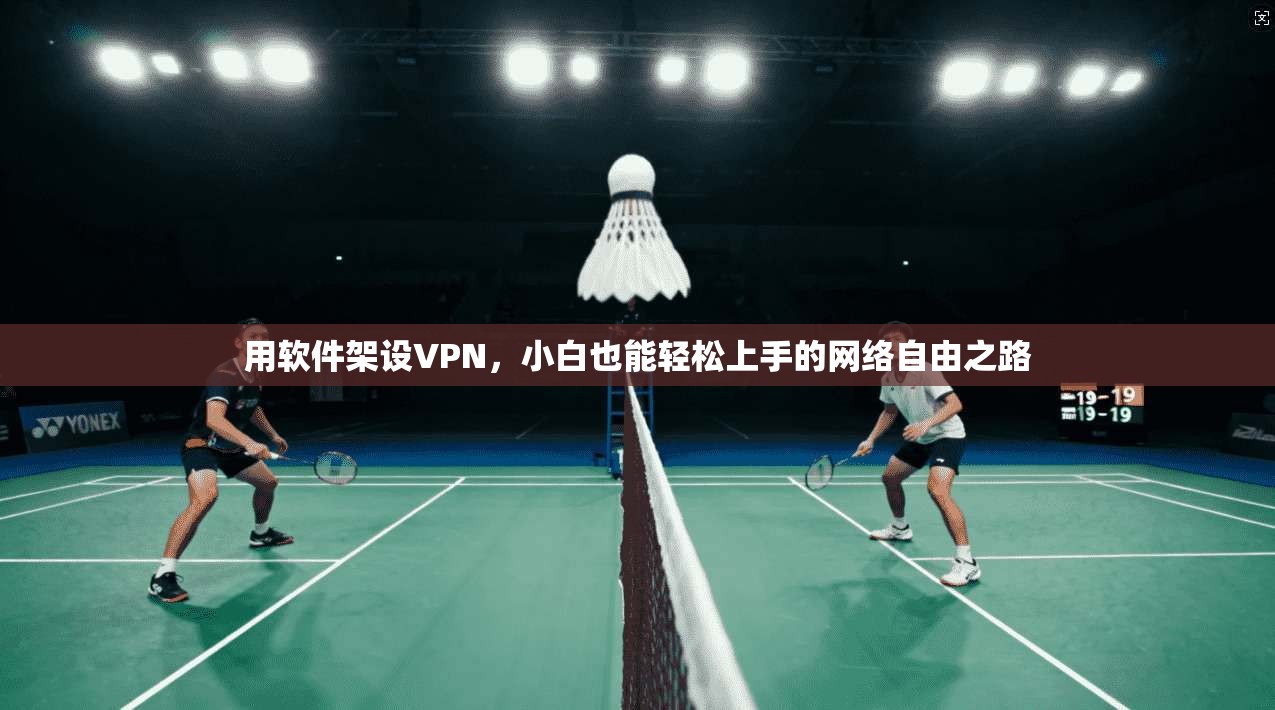 用软件架设VPN,小白也能轻松上手的网络自由之路