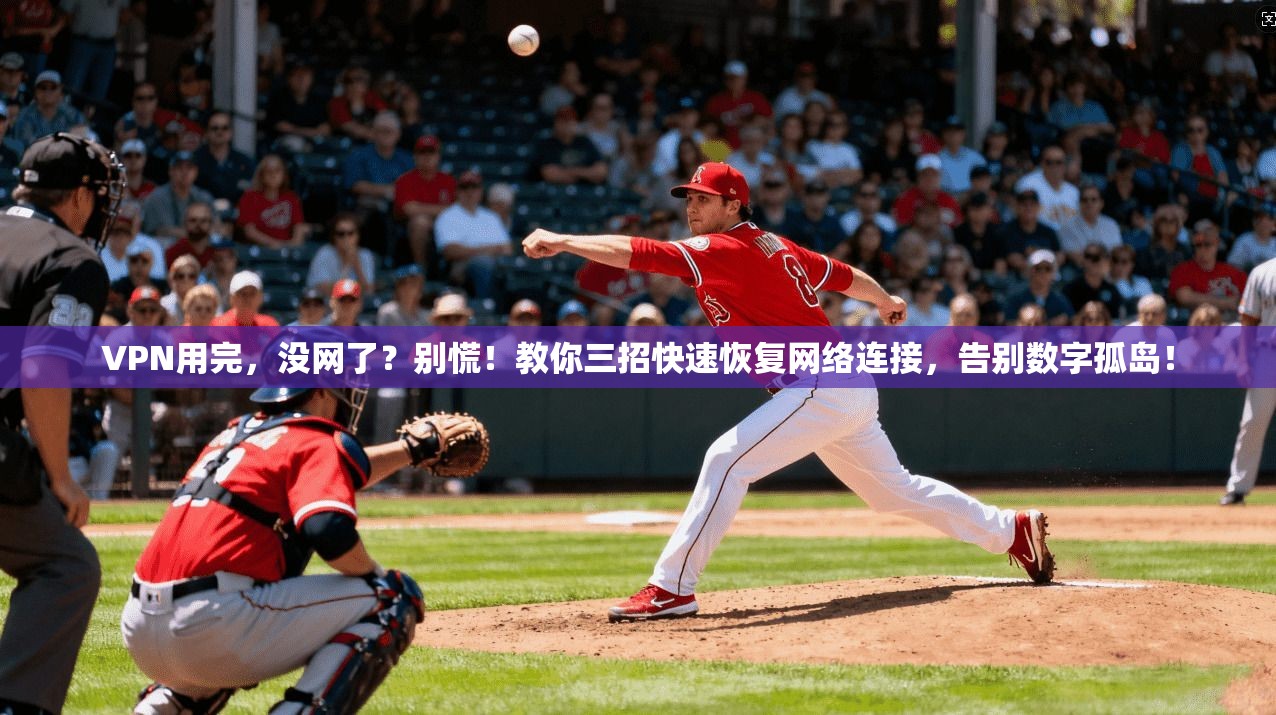 VPN用完，没网了？别慌！教你三招快速恢复网络连接，告别数字孤岛！