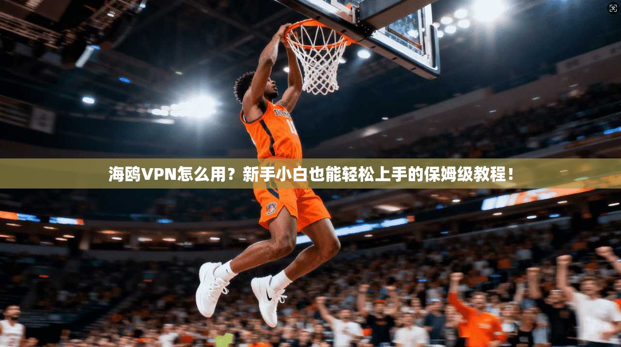 海鸥VPN怎么用？新手小白也能轻松上手的保姆级教程！
