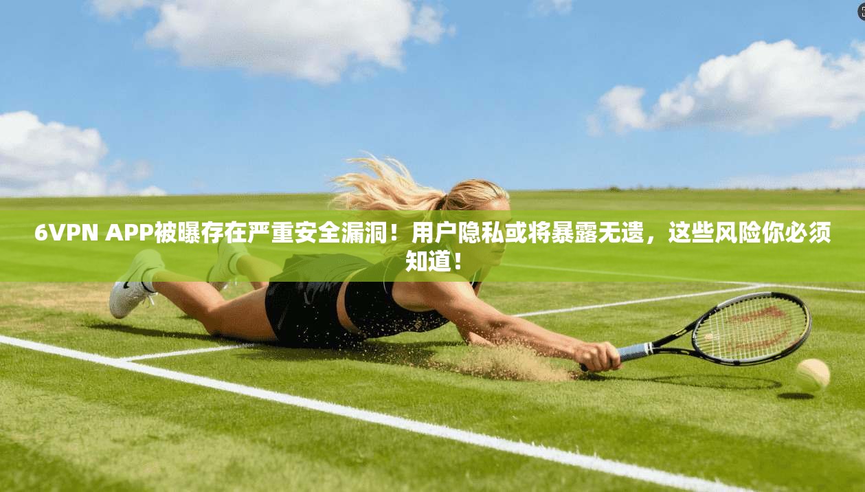 6VPN APP被曝存在严重安全漏洞！用户隐私或将暴露无遗，这些风险你必须知道！