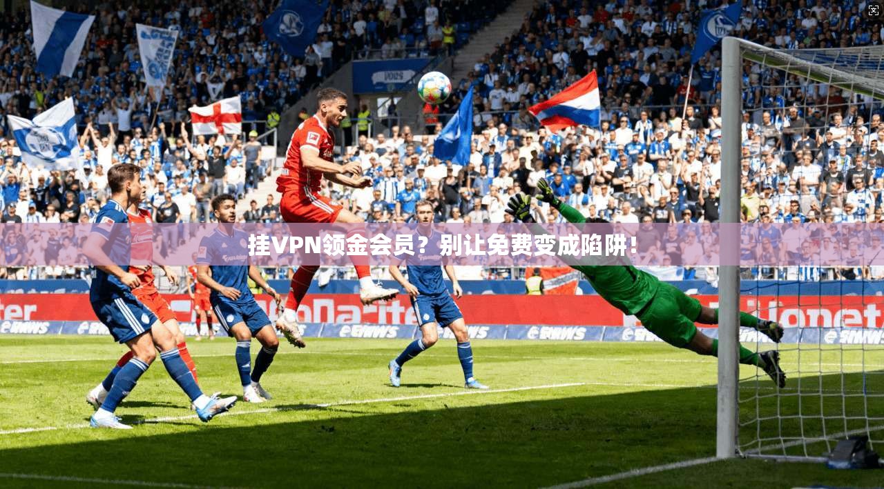 挂VPN领金会员?别让免费变成陷阱!