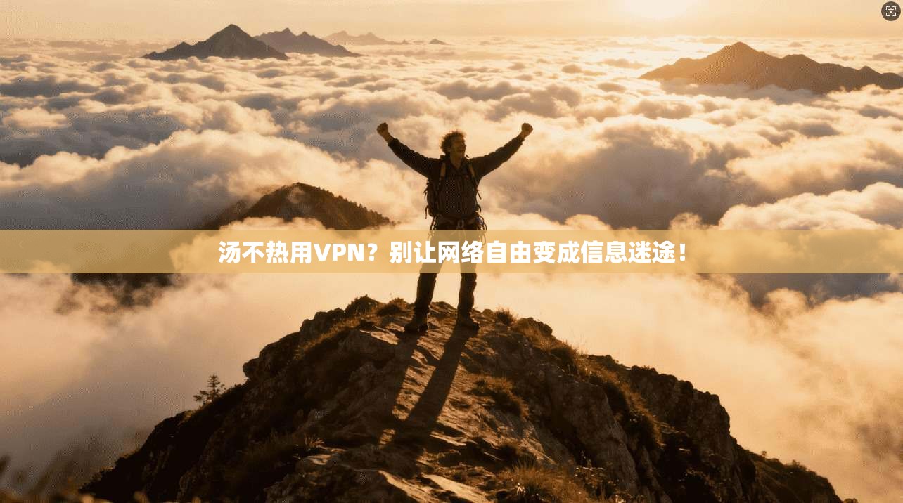 汤不热用VPN？别让网络自由变成信息迷途！