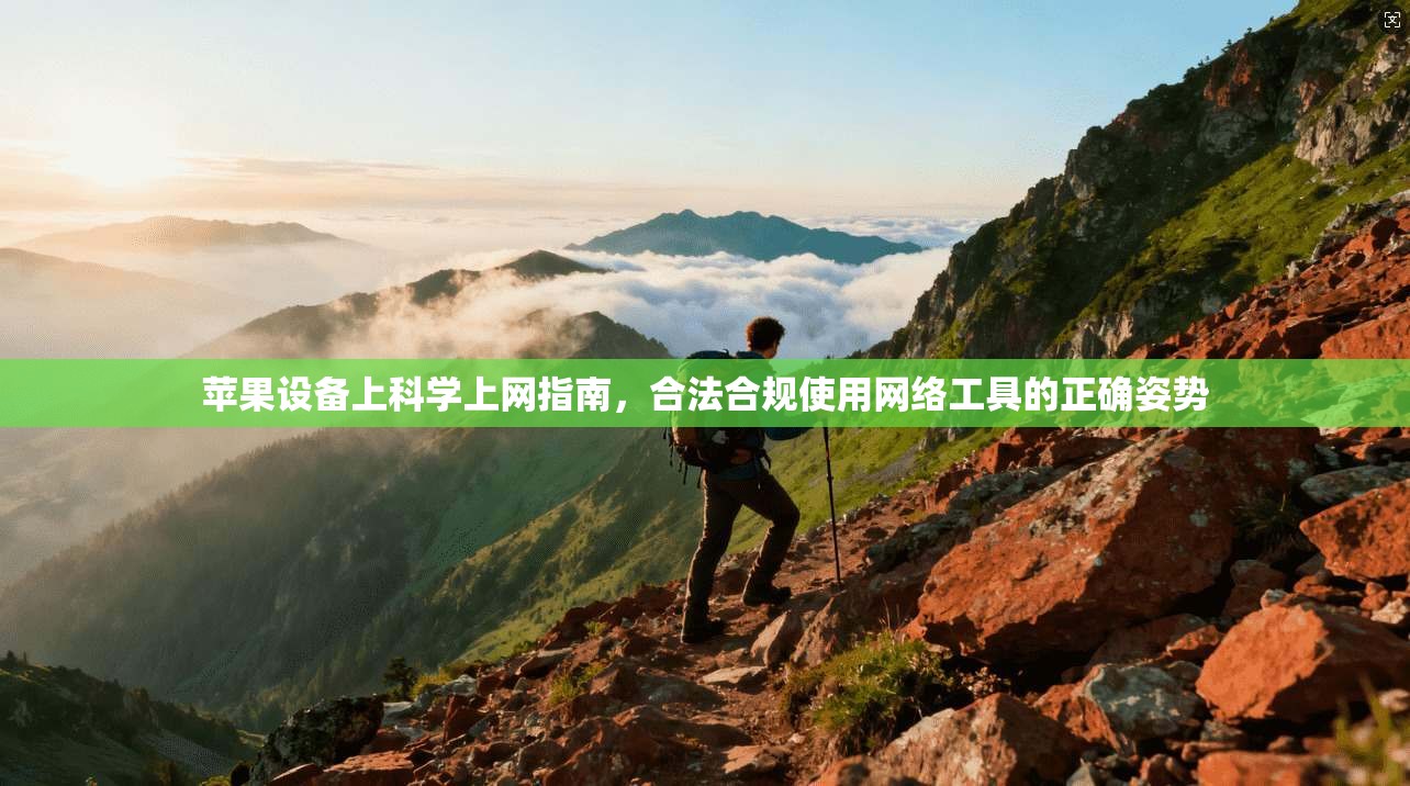 苹果设备上科学上网指南,合法合规使用网络工具的正确姿势