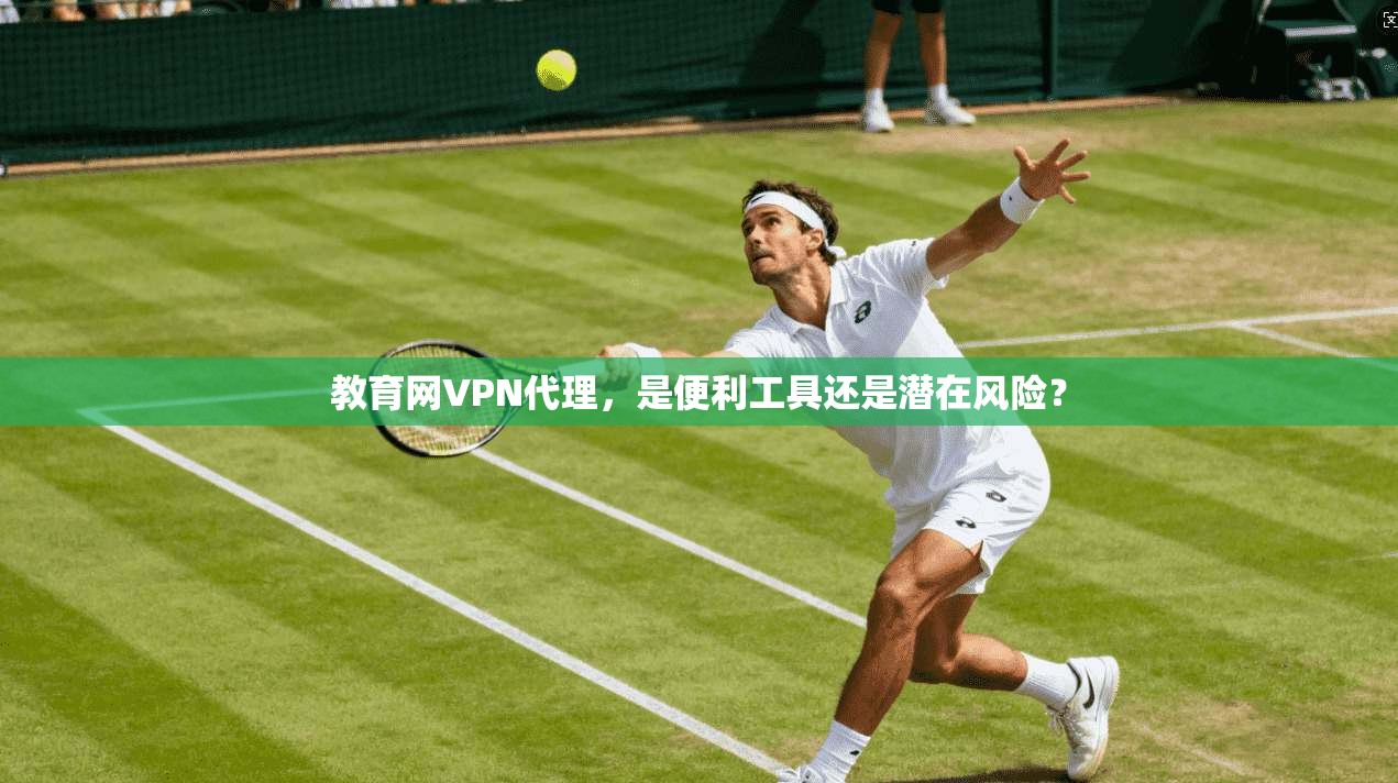 教育网VPN代理，是便利工具还是潜在风险？