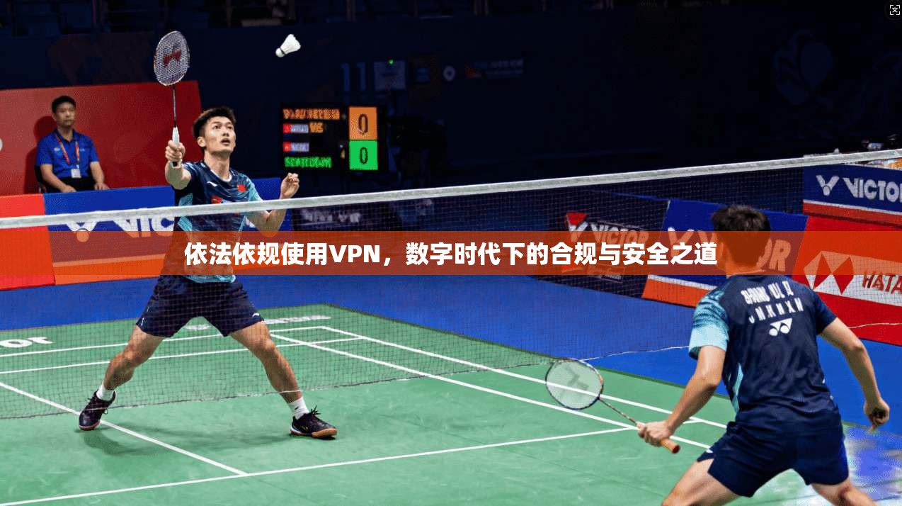 依法依规使用VPN，数字时代下的合规与安全之道