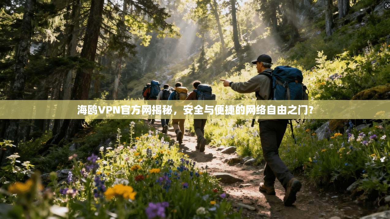 海鸥VPN官方网揭秘，安全与便捷的网络自由之门？