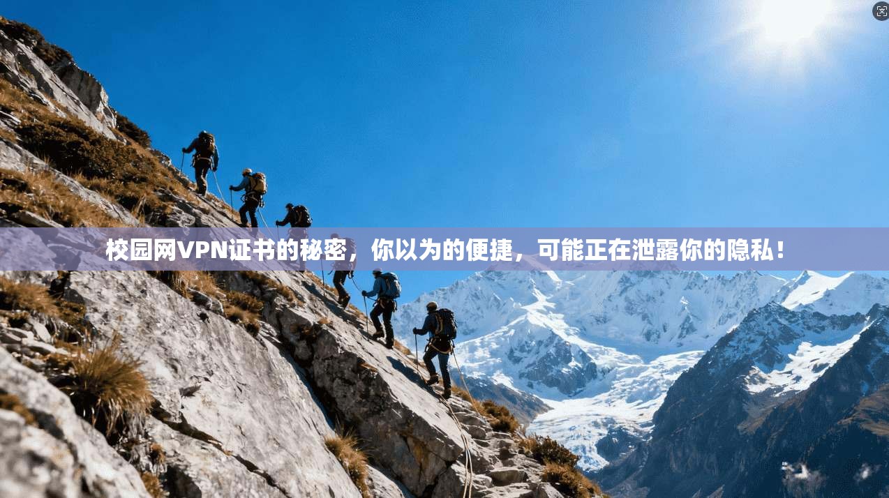 校园网VPN证书的秘密，你以为的便捷，可能正在泄露你的隐私！