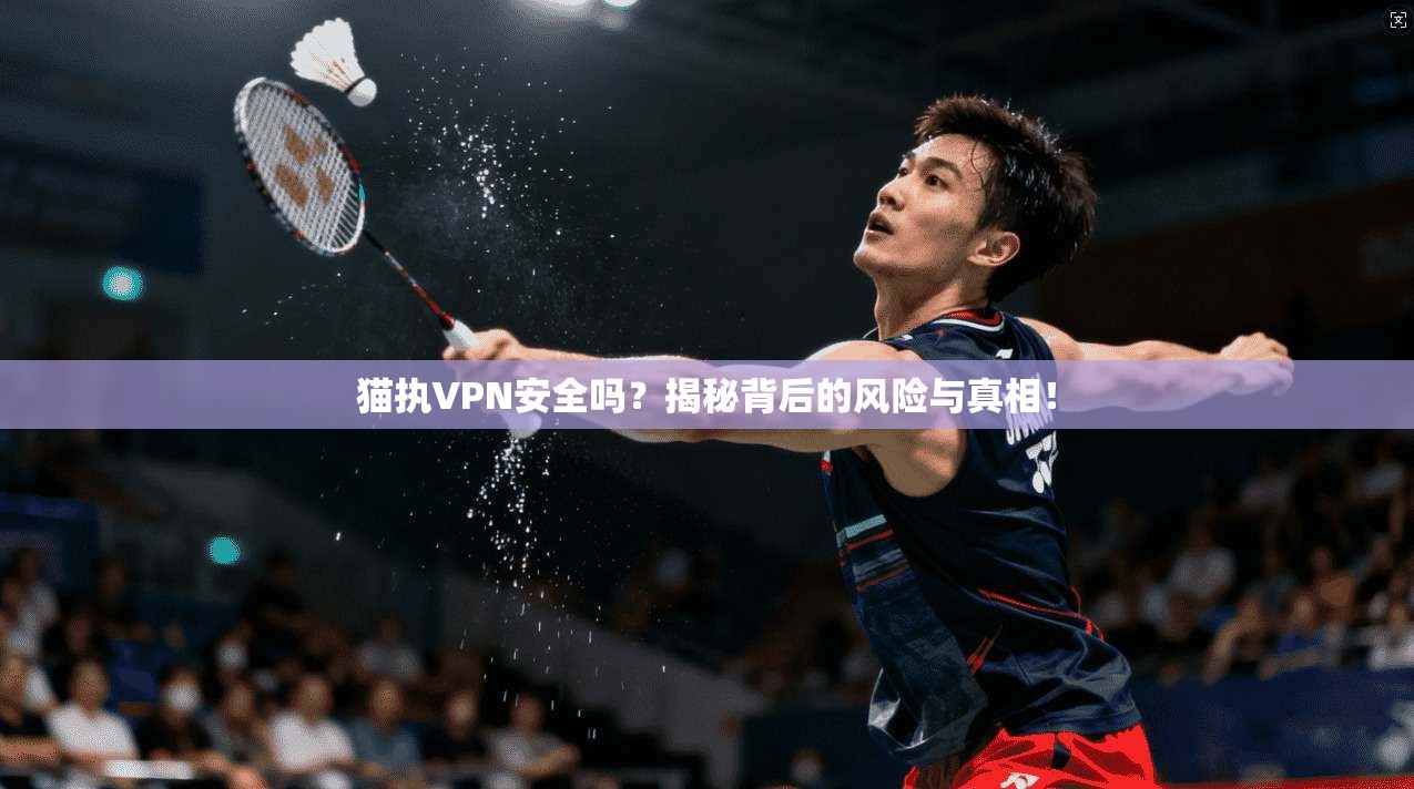 猫执VPN安全吗？揭秘背后的风险与真相！