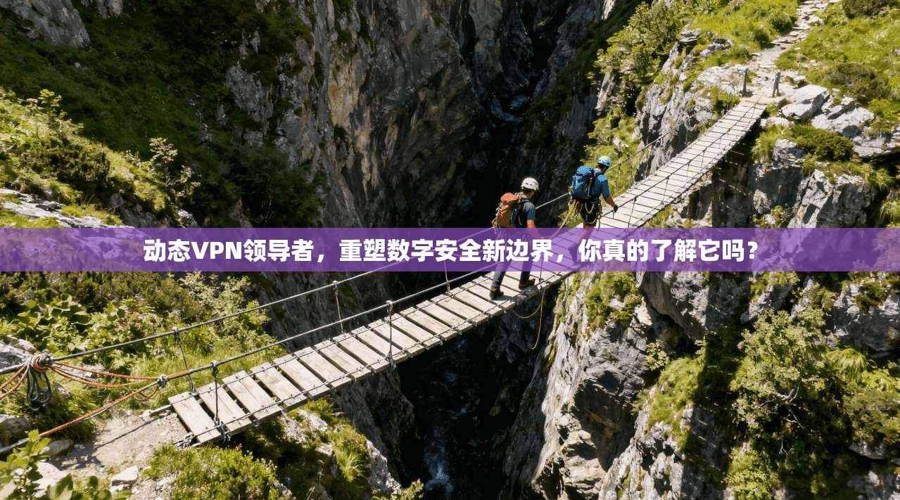 动态VPN领导者,重塑数字安全新边界,你真的了解它吗?
