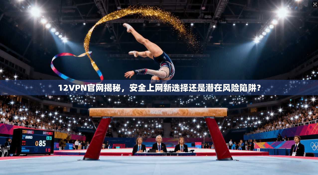 12VPN官网揭秘,安全上网新选择还是潜在风险陷阱?